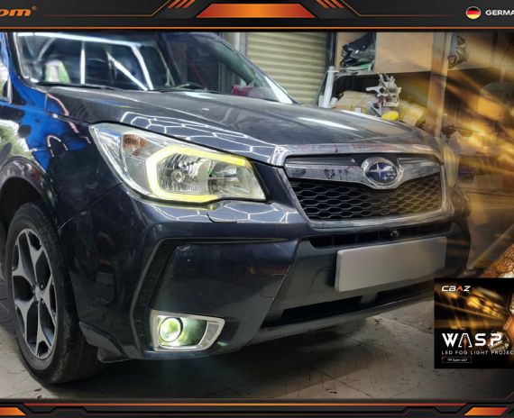 Độ bi gầm Subaru Forester 2014 - Wasp Fog Light